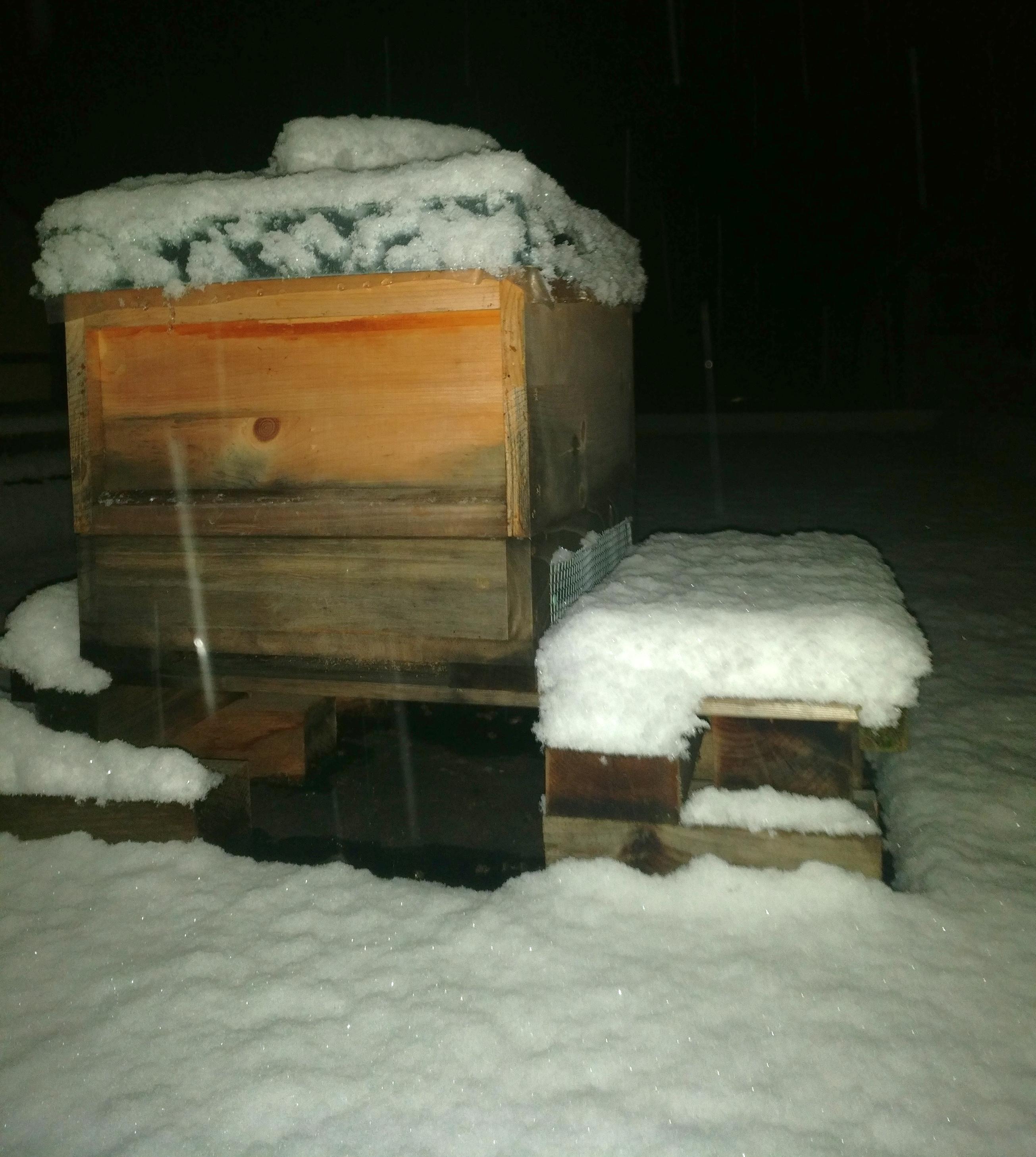 Auswinterung Der Volker Gutes Aus Dem Pott