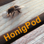 Podcast HonigPod Podcast-Cover HonigPod