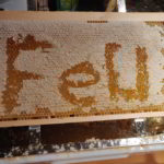 #Fernuni-Honig