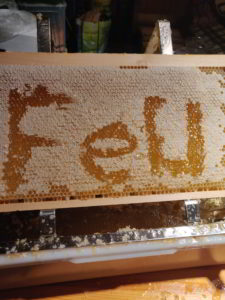 #Fernuni-Honig
