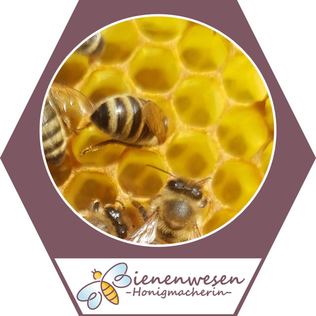 Honigmacherin Bienenwesen