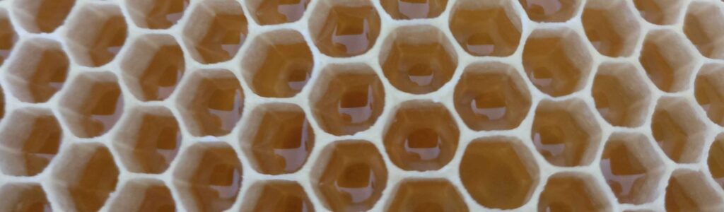 Honig Wabe offene Zellen